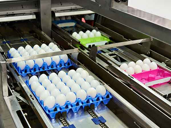 analisi-chimiche-e-consulenze-ambientali